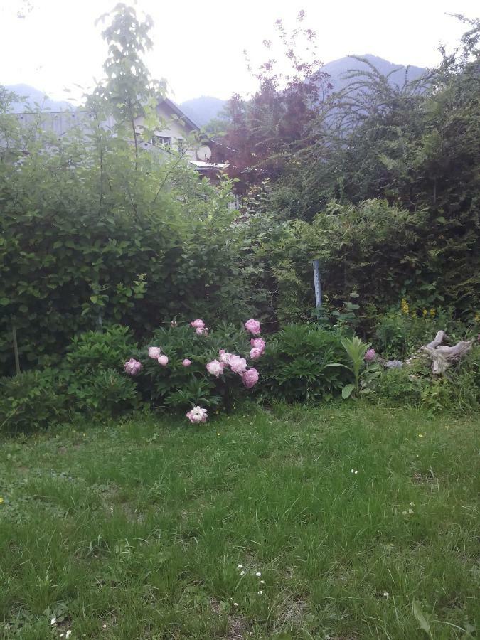 Ferienwohnung Karin Humer Bad Ischl Luaran gambar